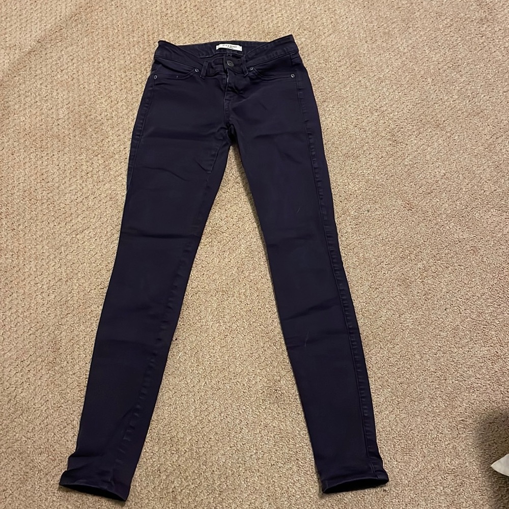 Rich and skinny plum skinny’s